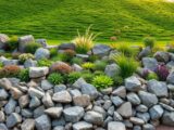 Discover the Best Rock Garden Ideas for Your Garden