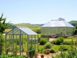 Greenhouse Guide: From Small LeanTos To Large Aluminum Structures