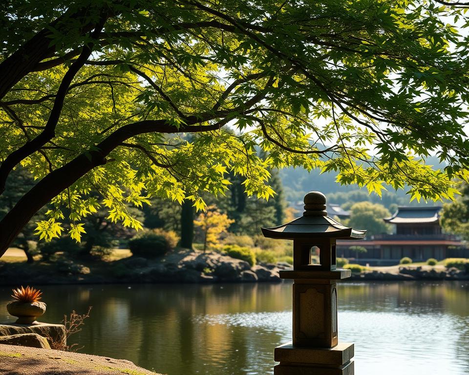 summer shade in Japanese gardens summer shade in Japanese gardens